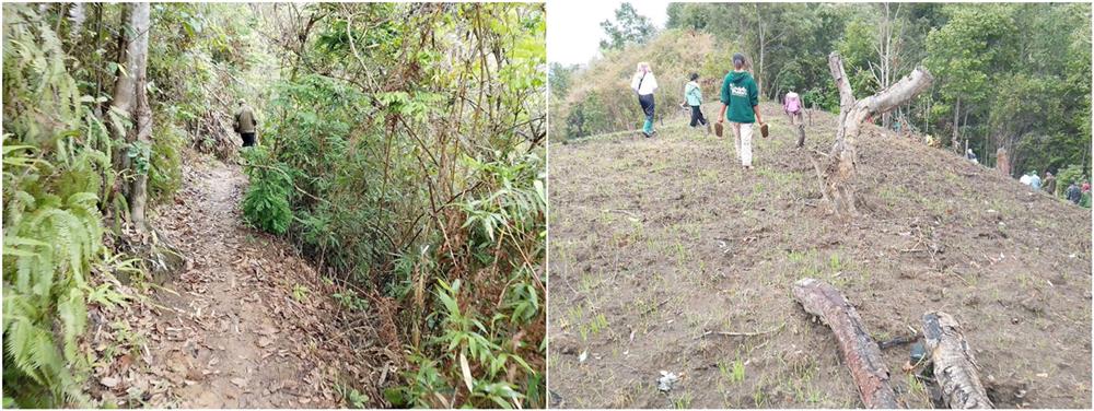 Các lực lượng nỗ lực tìm kiếm cháu bé.