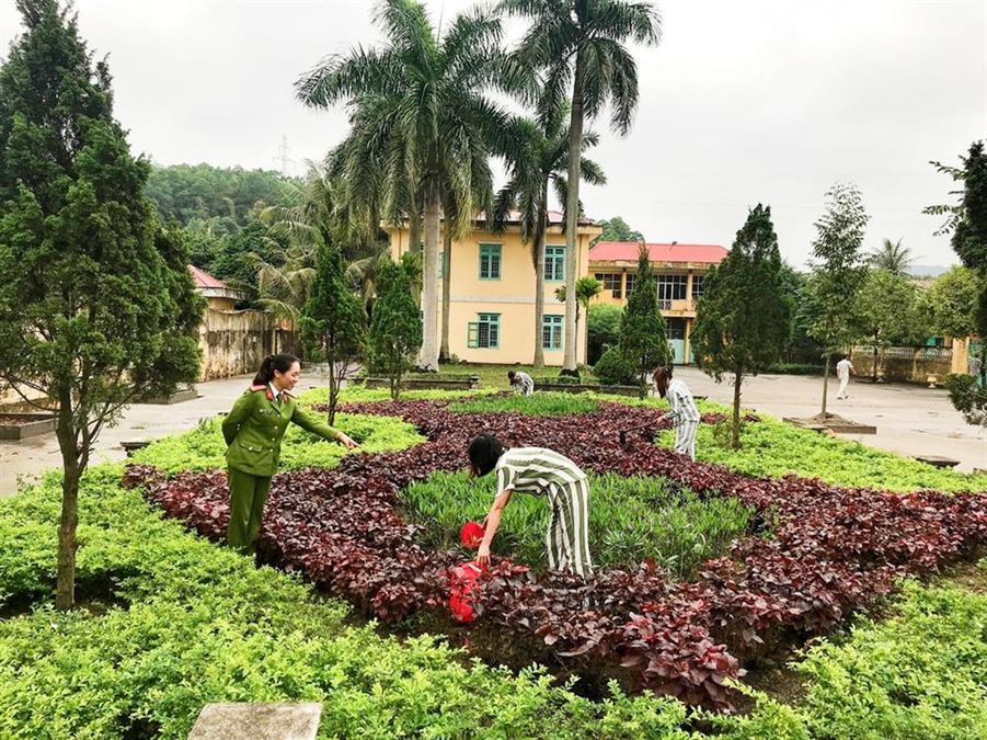 Câu chuyện của “người thầy đeo quân hàm”