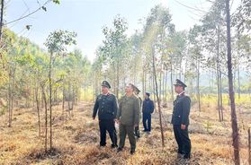 Những cánh tay nối dài bảo đảm bình yên cho người dân