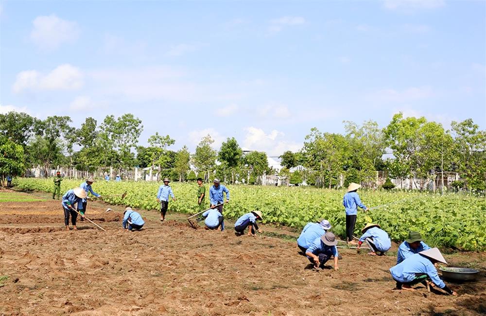 Các hoạt động lao động trị liệu cho học viên tại Cơ sở.