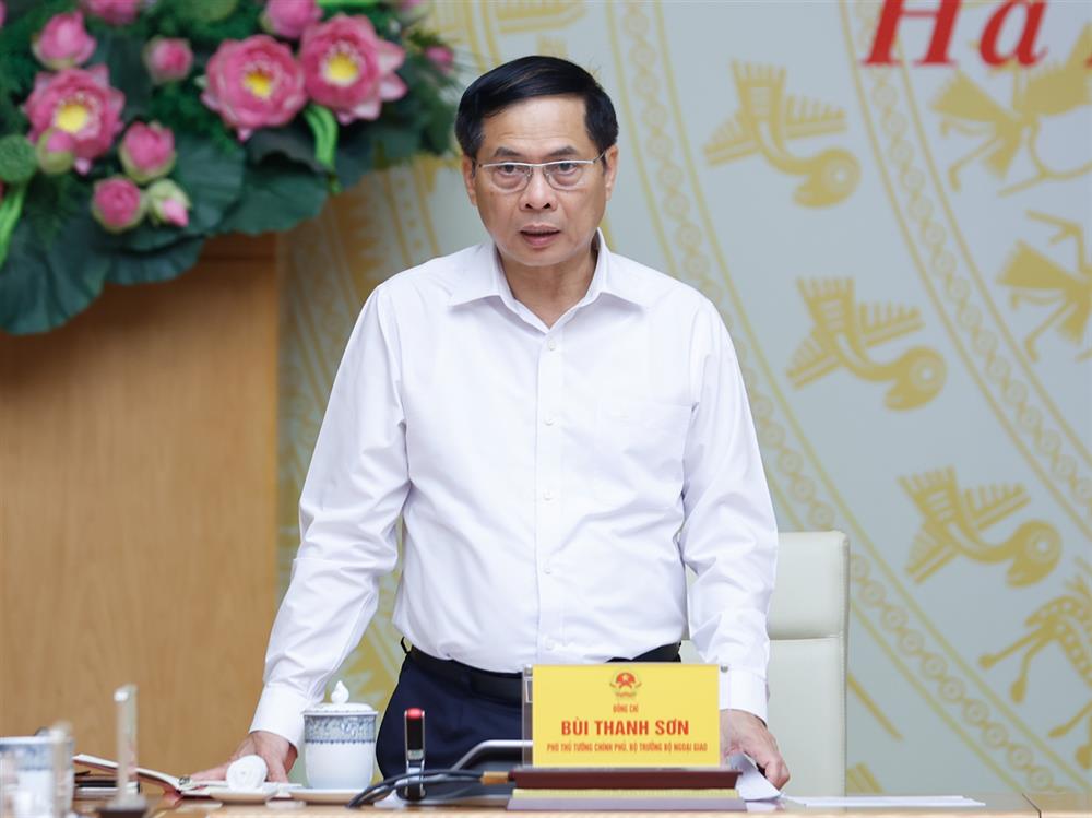 Phó Thủ tướng Bùi Thanh Sơn phát biểu tại buổi làm việc.