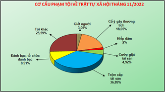 Số liệu về công tác đấu tranh phòng, chống tội phạm tháng 11/2022