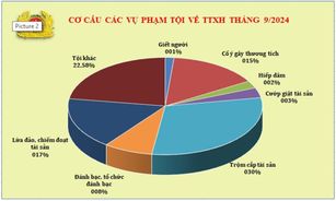 Số liệu về công tác đấu tranh phòng, chống tội phạm tháng 9/2024
