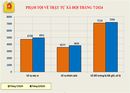 Số liệu về công tác đấu tranh phòng, chống tội phạm tháng 7/2024