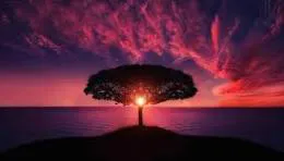 [Test] Thêm bài để bình luận